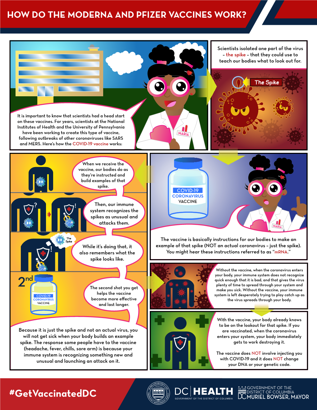 How Does the COVID-19 Vaccine Work? One Pager R7