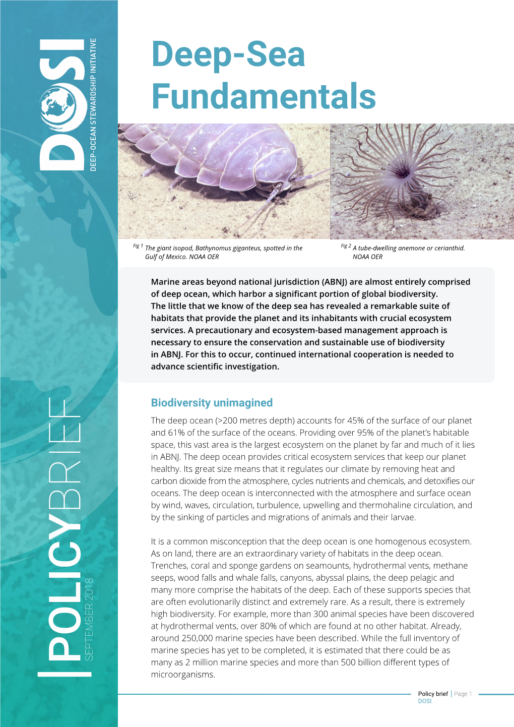 DOSI Policy Brief – Deep-Sea Fundamentals
