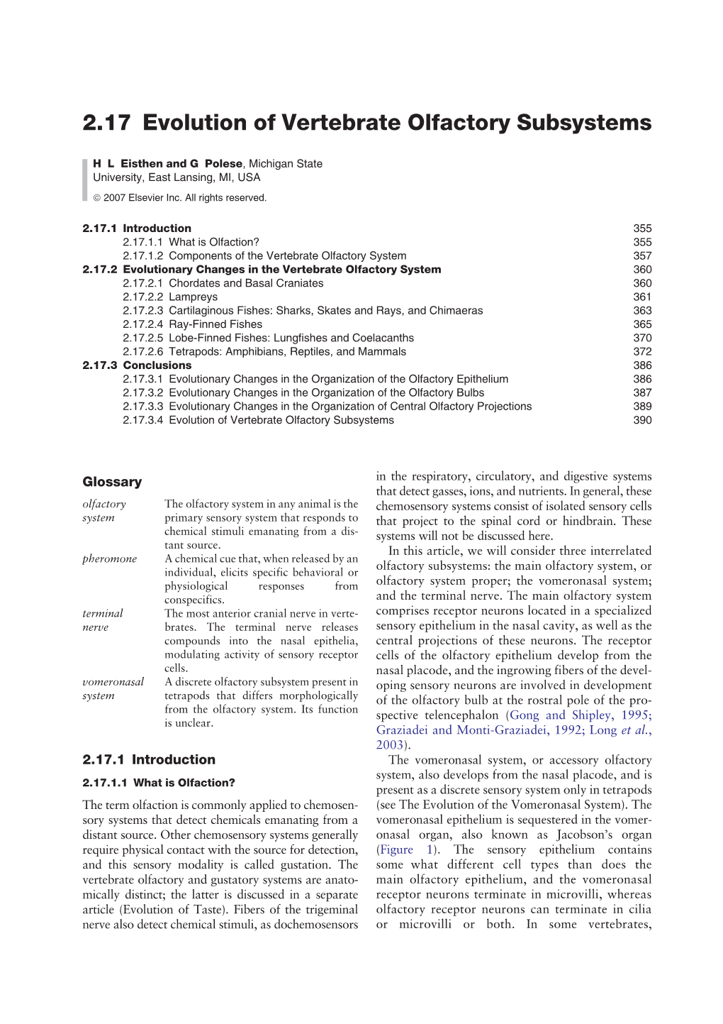 2.17 Evolution of Vertebrate Olfactory Subsystems