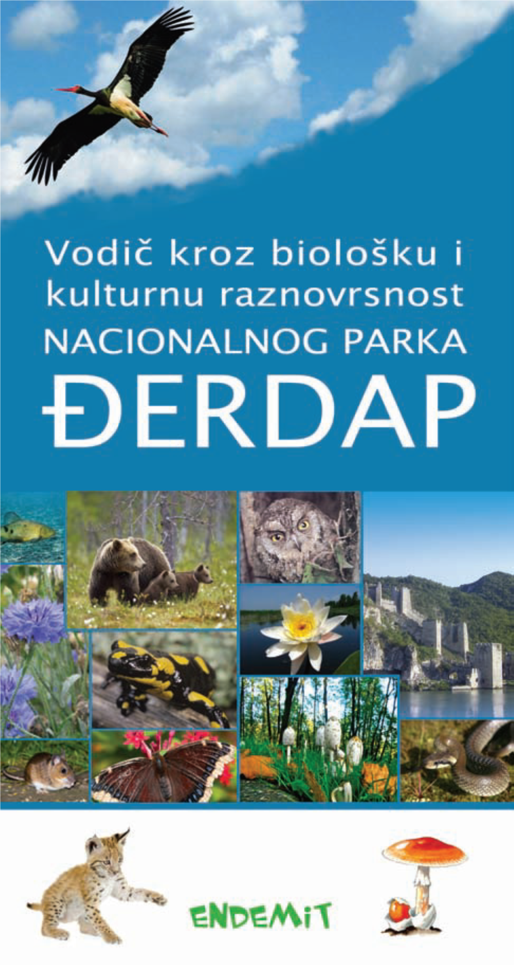 Vodic-Djerdap.Pdf