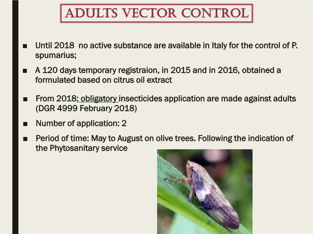 Philaenus Spumarius on Olive Trees, Active Substance (A.S.) Authorized on Olive Trees After …