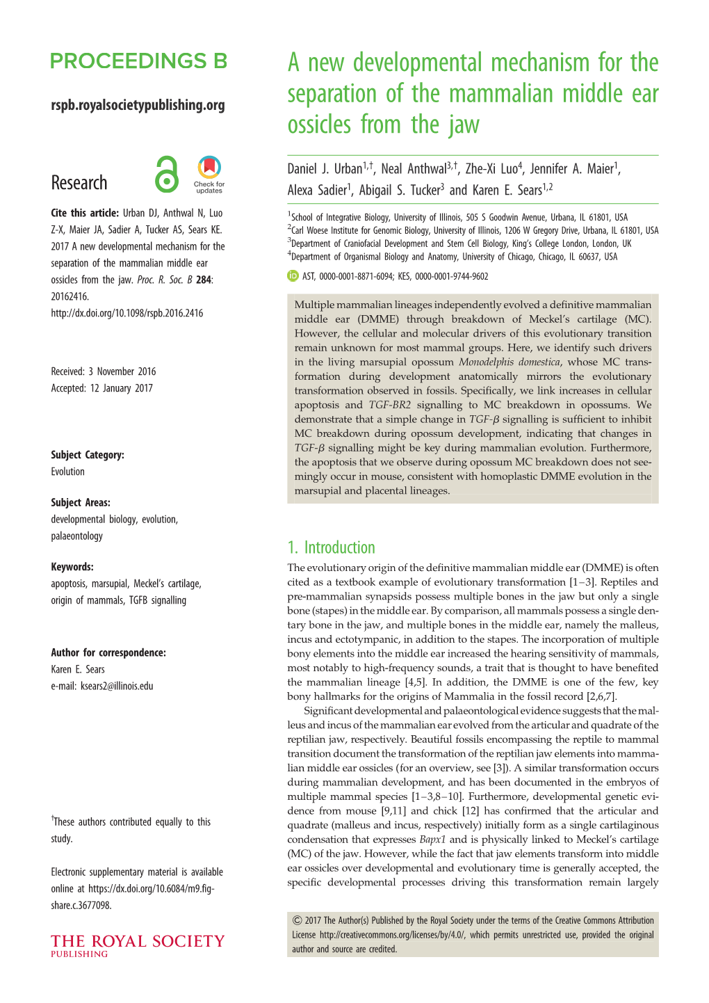 A New Developmental Mechanism for the Separation of the Mammalian