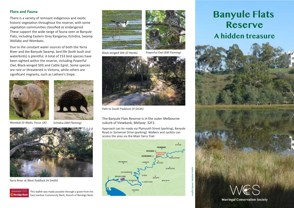 Banyule Flats Reserve Is in the Outer Melbourne Wombat (D Wats, Focus UK) Echidna (AM Fleming) Suburb of Viewbank, Melway: 32F2