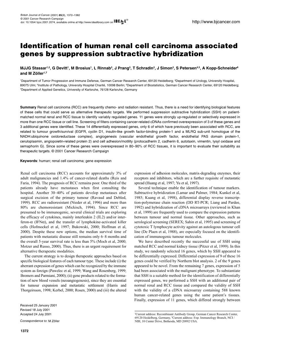 Identification of Human Renal Cell Carcinoma Associated Genes by Suppression Subtractive Hybridization