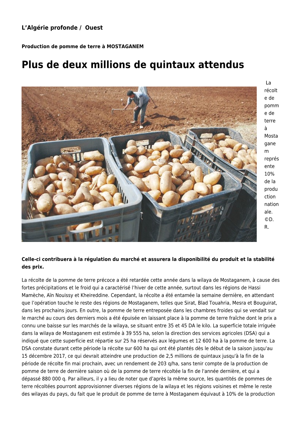 Plus De Deux Millions De Quintaux Attendus: Toute L