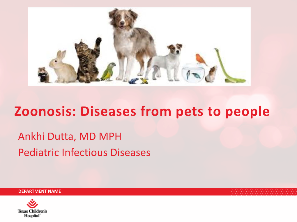 Diseases from Pets to People