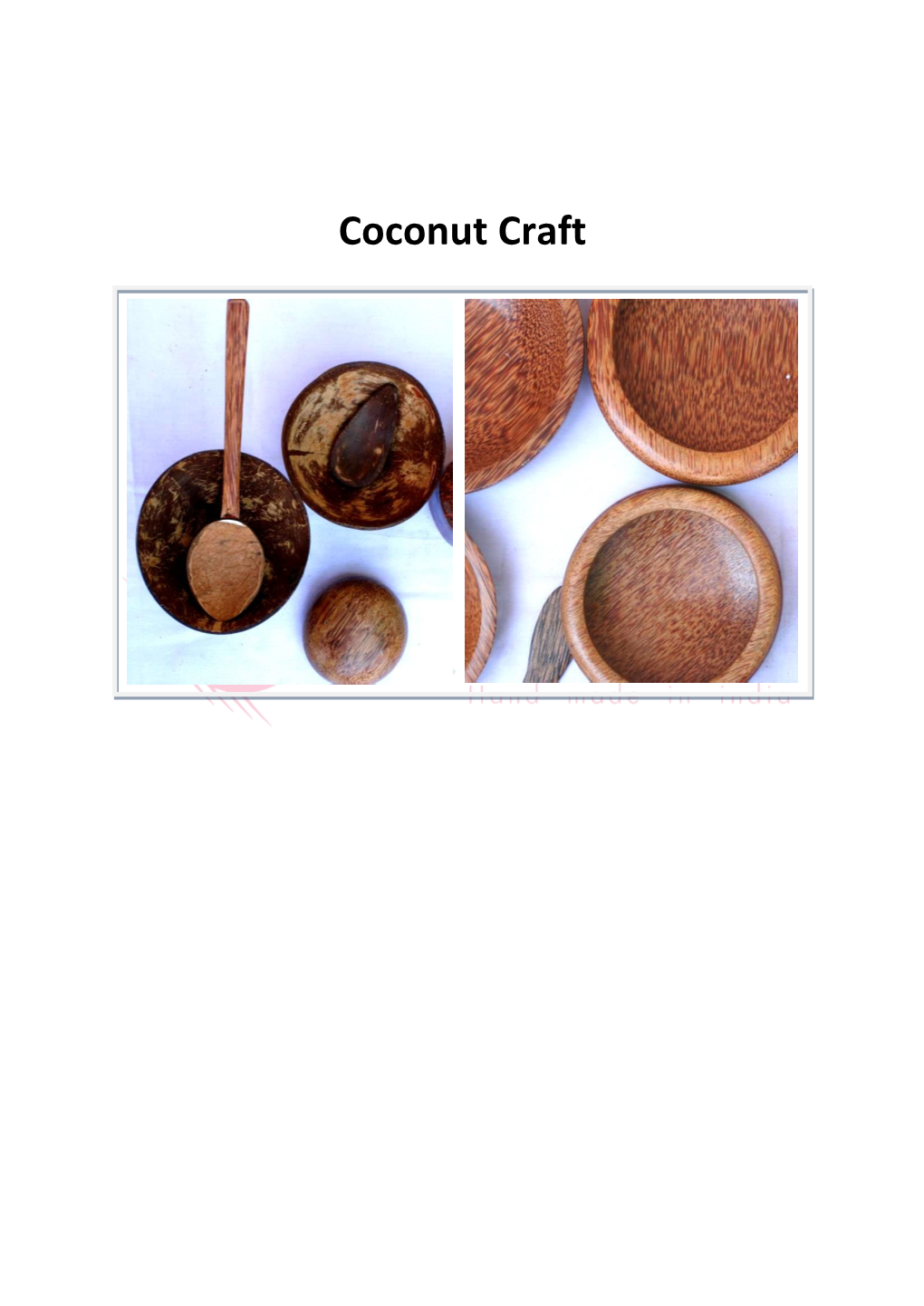 Coconut Craft