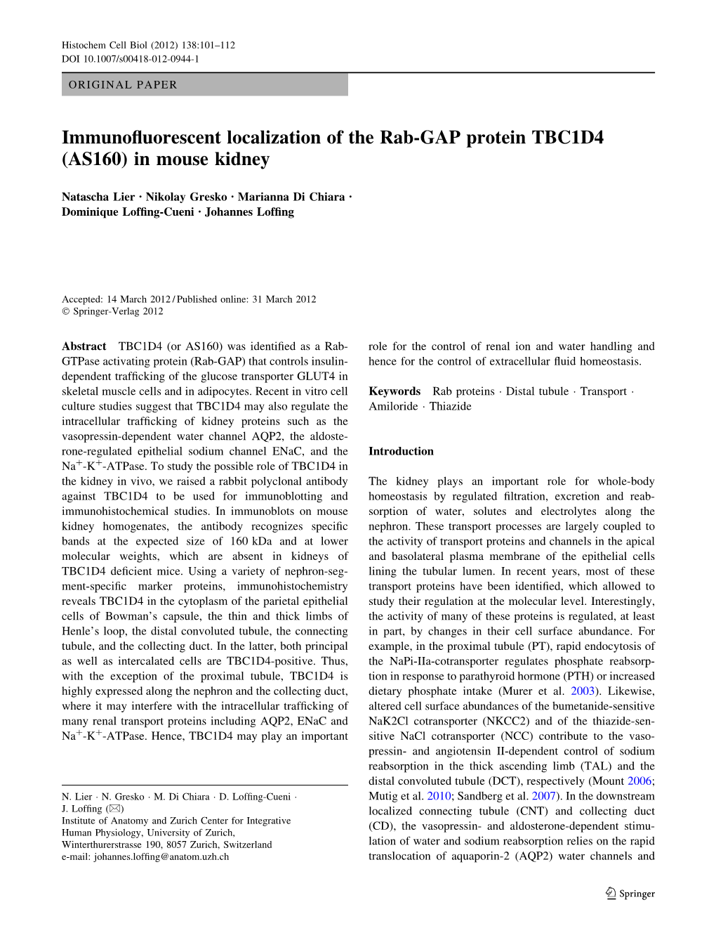 Immunofluorescent Localization of the Rab-GAP Protein TBC1D4 (AS160