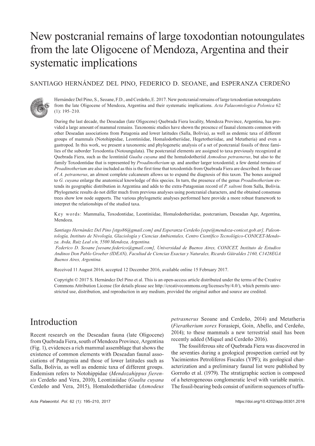 New Postcranial Remains of Large Toxodontian Notoungulates from the Late Oligocene of Mendoza, Argentina and Their Systematic Implications