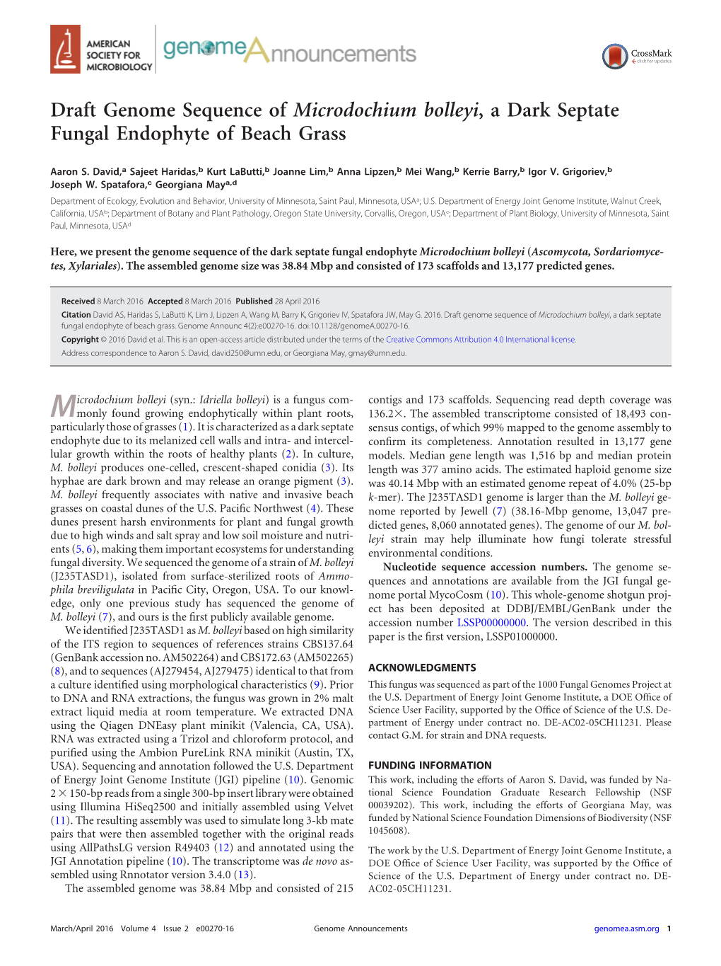 Draft Genome Sequence of Microdochium Bolleyi, a Dark Septate Fungal Endophyte of Beach Grass