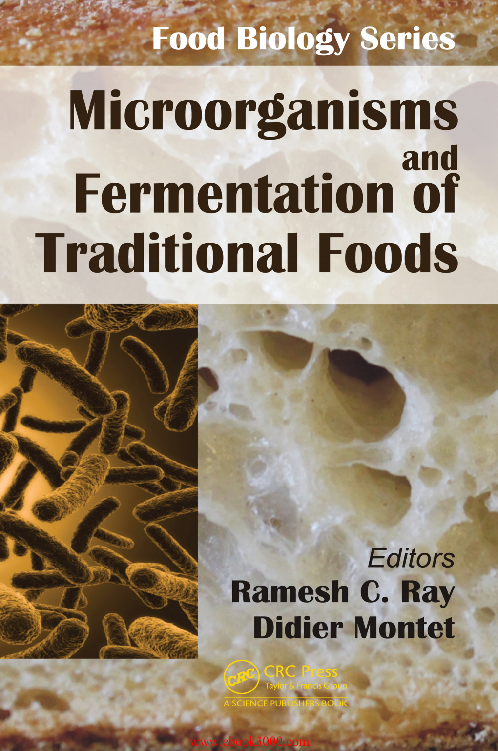 Microorganisms and Fermentation of Traditional Foods This Page Intentionally Left Blank