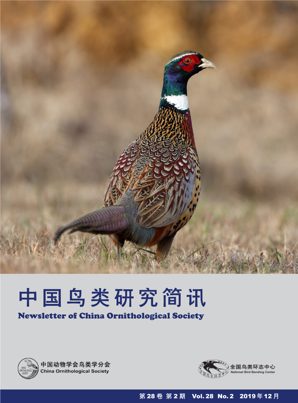 中国鸟类研究简讯 Newsletter of China Ornithological Society