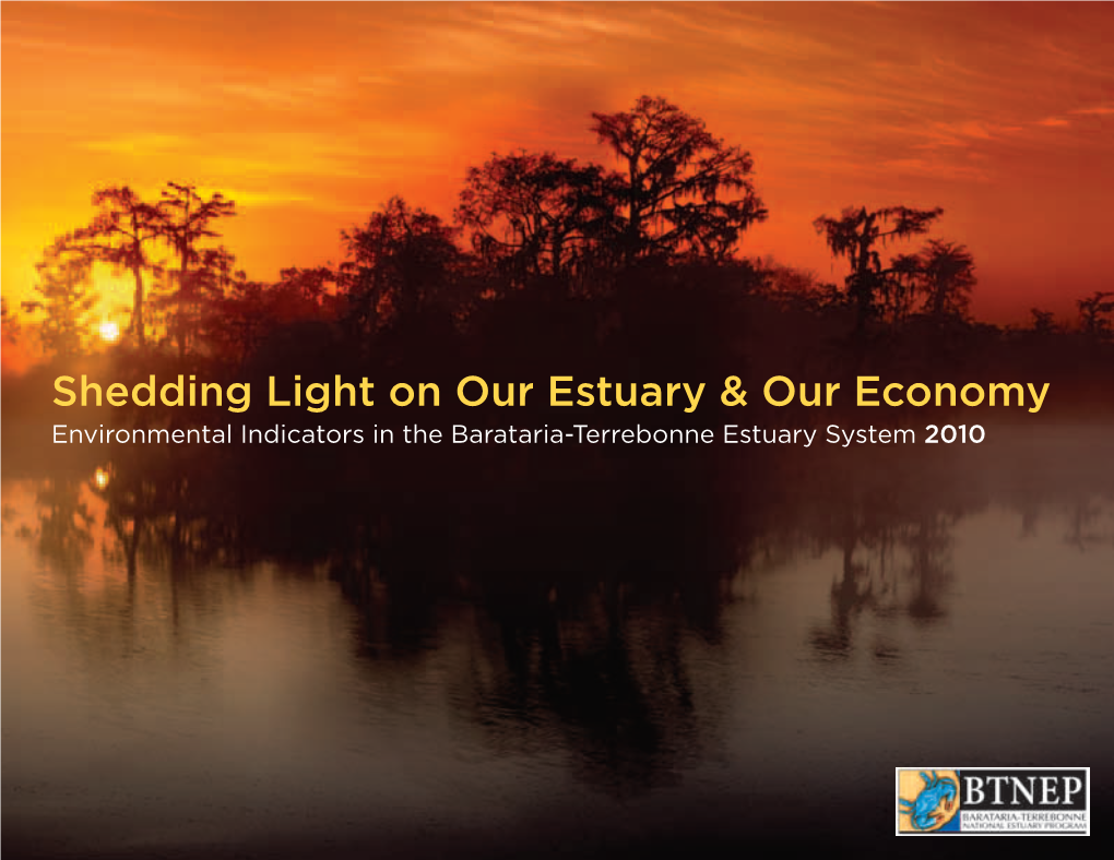 Shedding Light on Our Estuary & Our Economy