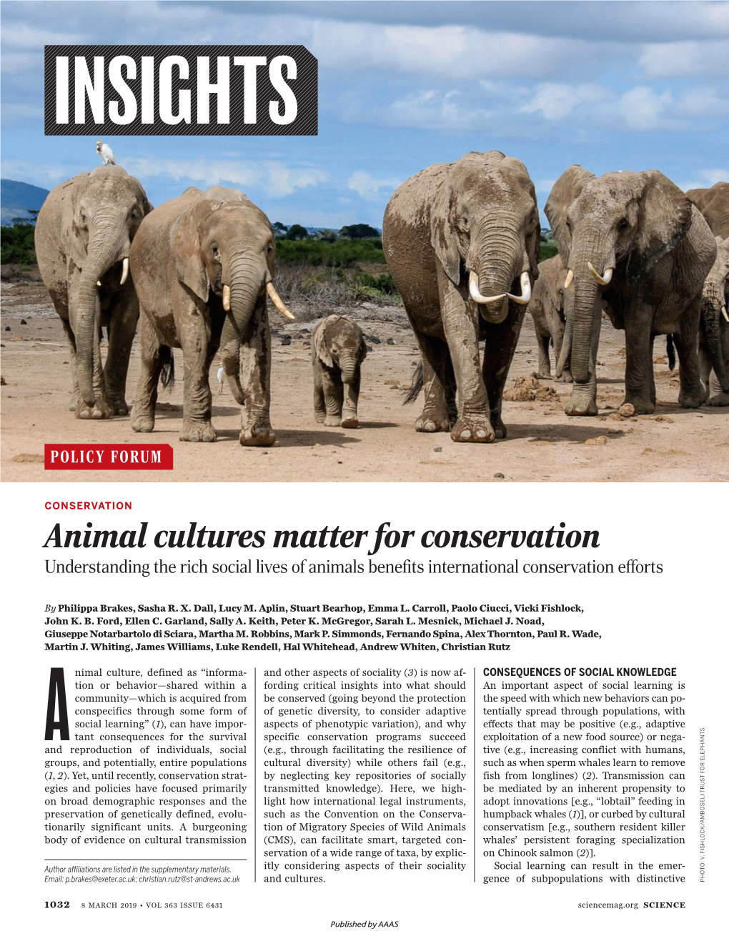 Animal Cultures Matter for Conservation Understanding the Rich Social Lives of Animals Benefits International Conservation Efforts