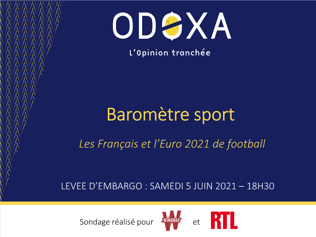 Les Français Et L'euro 2021 De Football