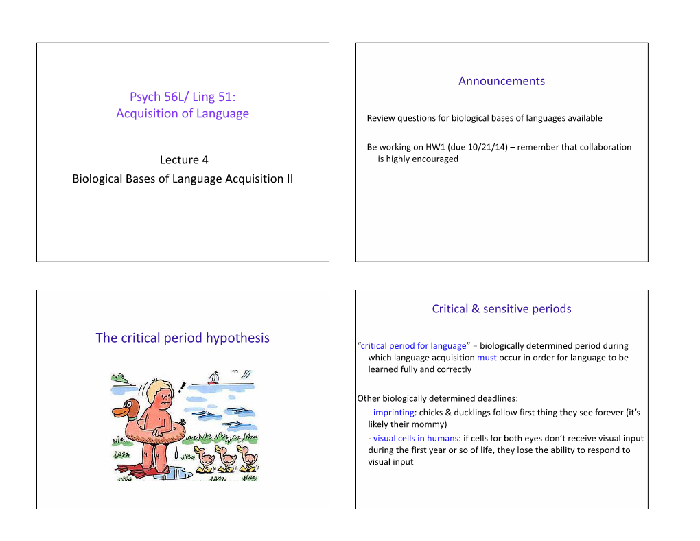 The Critical Period Hypothesis