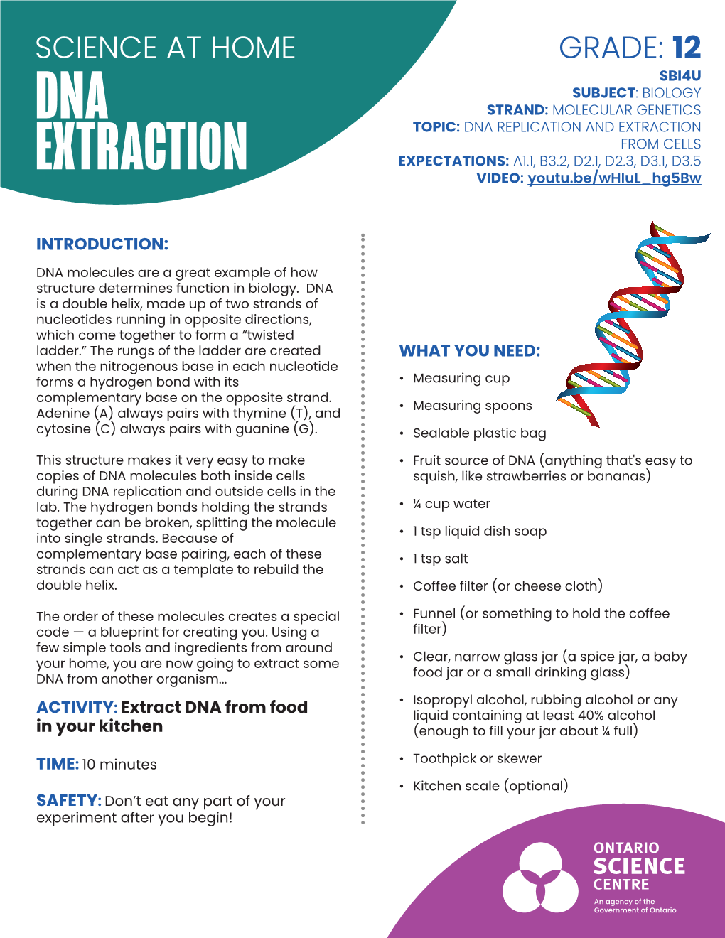 DNA Extraction Is the First Step in a Lot of Work in Genetics, Including Genetic Testing and Genetic Engineering