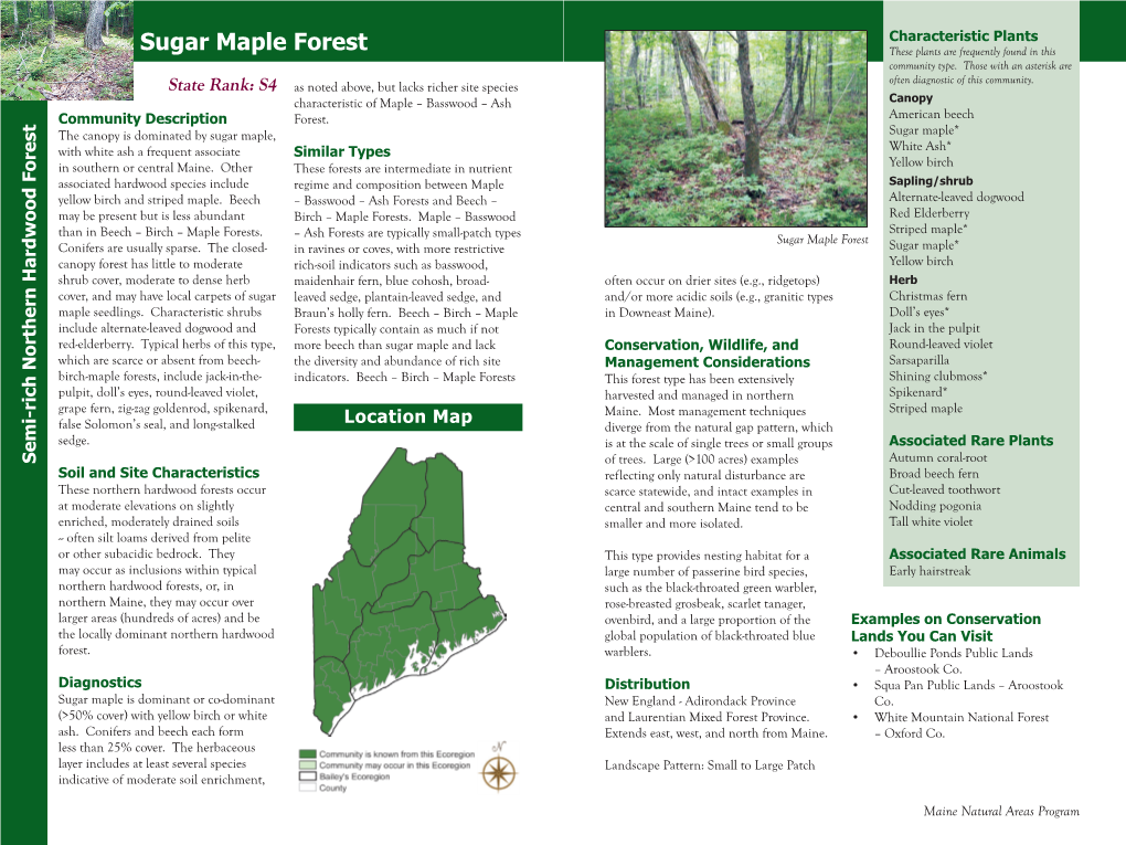 Sugar Maple Forest These Plants Are Frequently Found in This Community Type