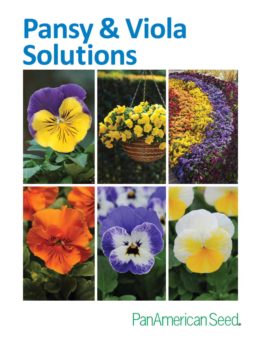 Pansy & Viola Solutions