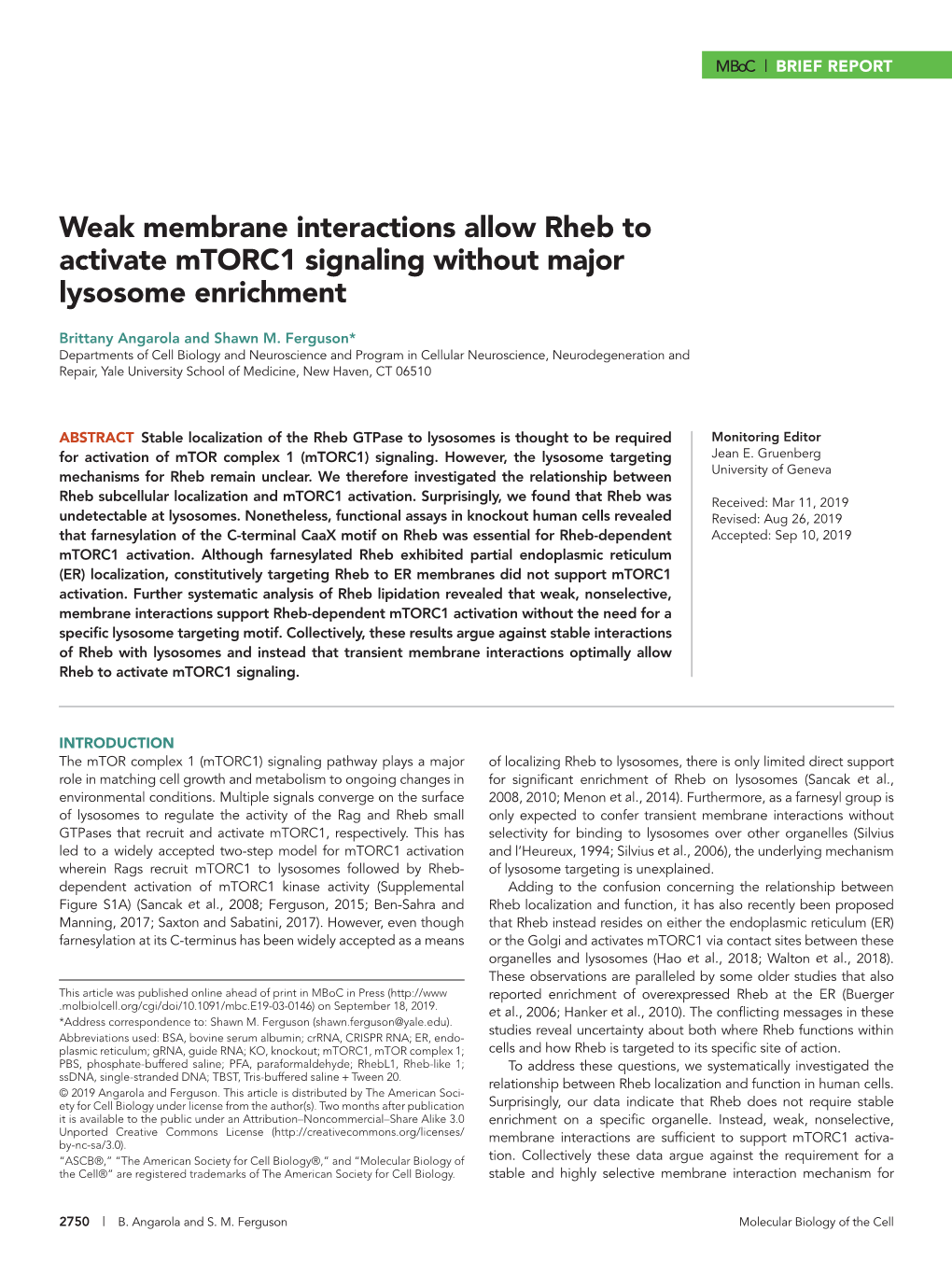 Weak Membrane Interactions Allow Rheb to Activate Mtorc1 Signaling Without Major Lysosome Enrichment