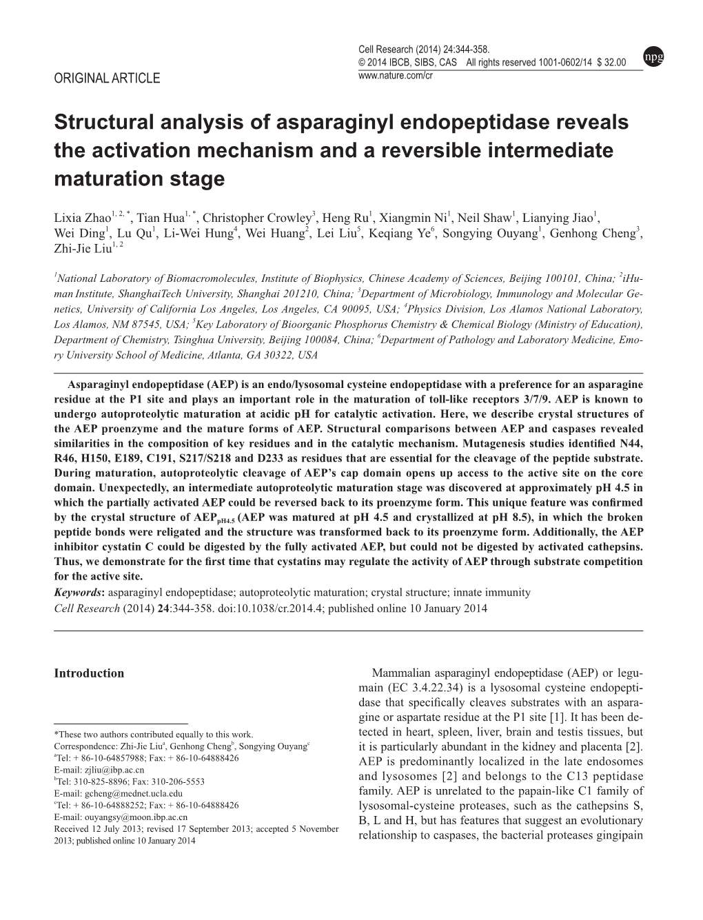 Structural Analysis of Asparaginyl Endopeptidase Reveals the Activation Mechanism and a Reversible Intermediate Maturation Stage