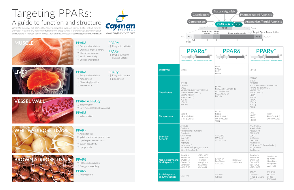 Targeting Ppars