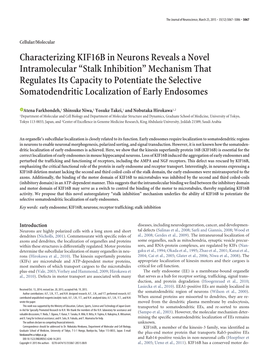 Characterizing KIF16B in Neurons Reveals
