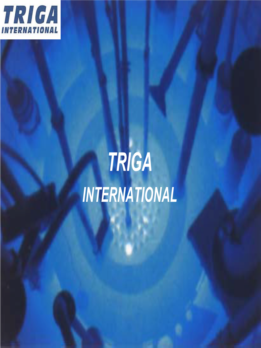 TRIGA INTERNATIONAL History Of