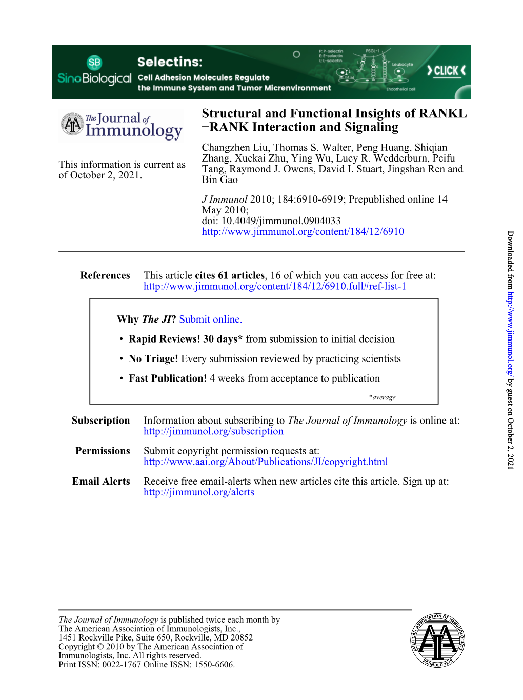 RANKL Structural and Functional Insights Of