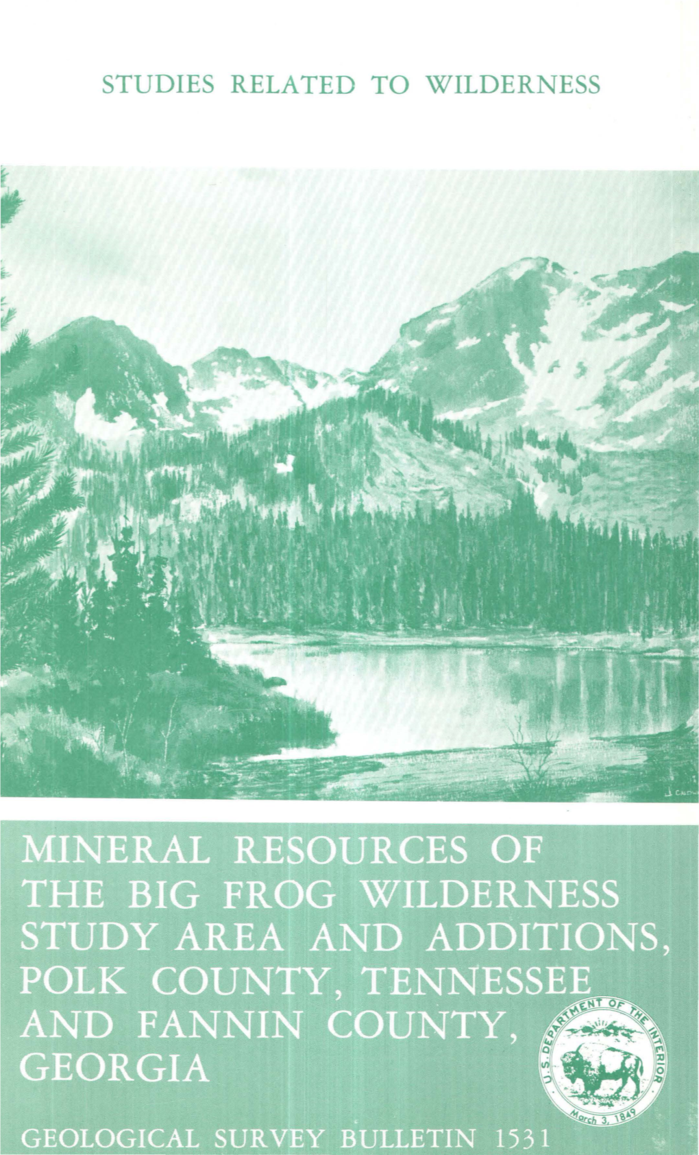 Mineral Resources of the Big Frog Wilderness Study Area and Additions, Polk County, Tennessee, and Fannin County, Georgia