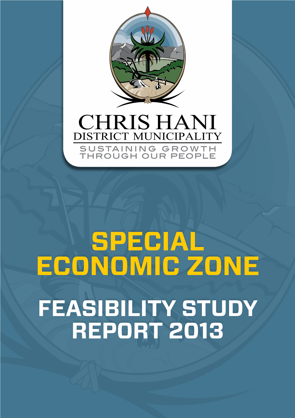 SPECIAL ECONOMIC ZONE Feasibility Study REPORT 2013
