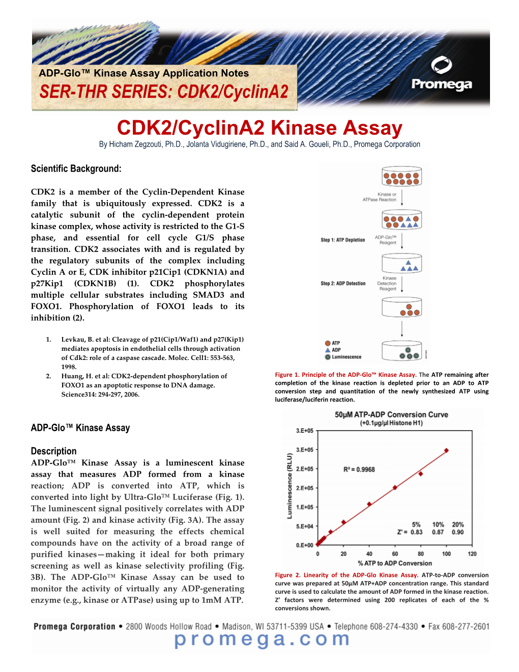 CDK2/Cyclina2 Kinase Assay by Hicham Zegzouti, Ph.D., Jolanta Vidugiriene, Ph.D., and Said A