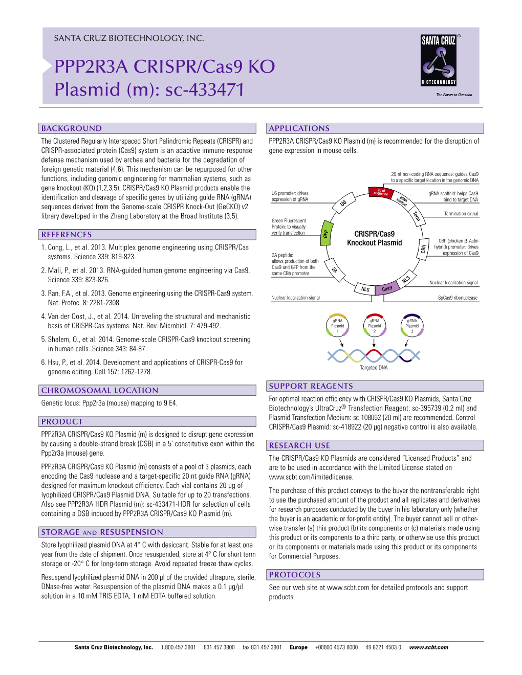 PPP2R3A CRISPR/Cas9 KO Plasmid (M): Sc-433471