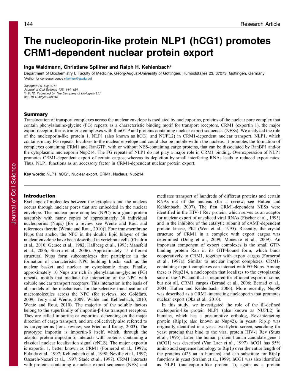 Promotes CRM1-Dependent Nuclear Protein Export