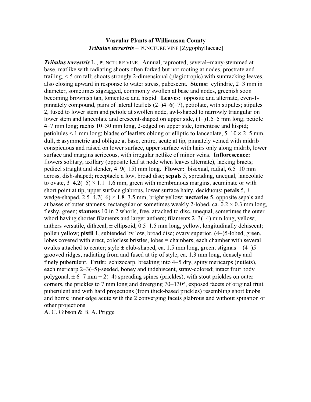 Vascular Plants of Williamson County Tribulus Terrestris − PUNCTURE VINE [Zygophyllaceae]