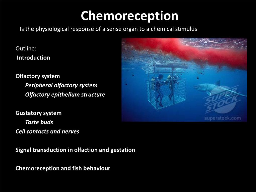 Chemoreception.Pdf