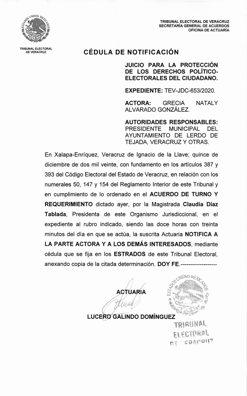 Tev-Jdc-653-2020 Acuerdo De Turno Y Requerimiento