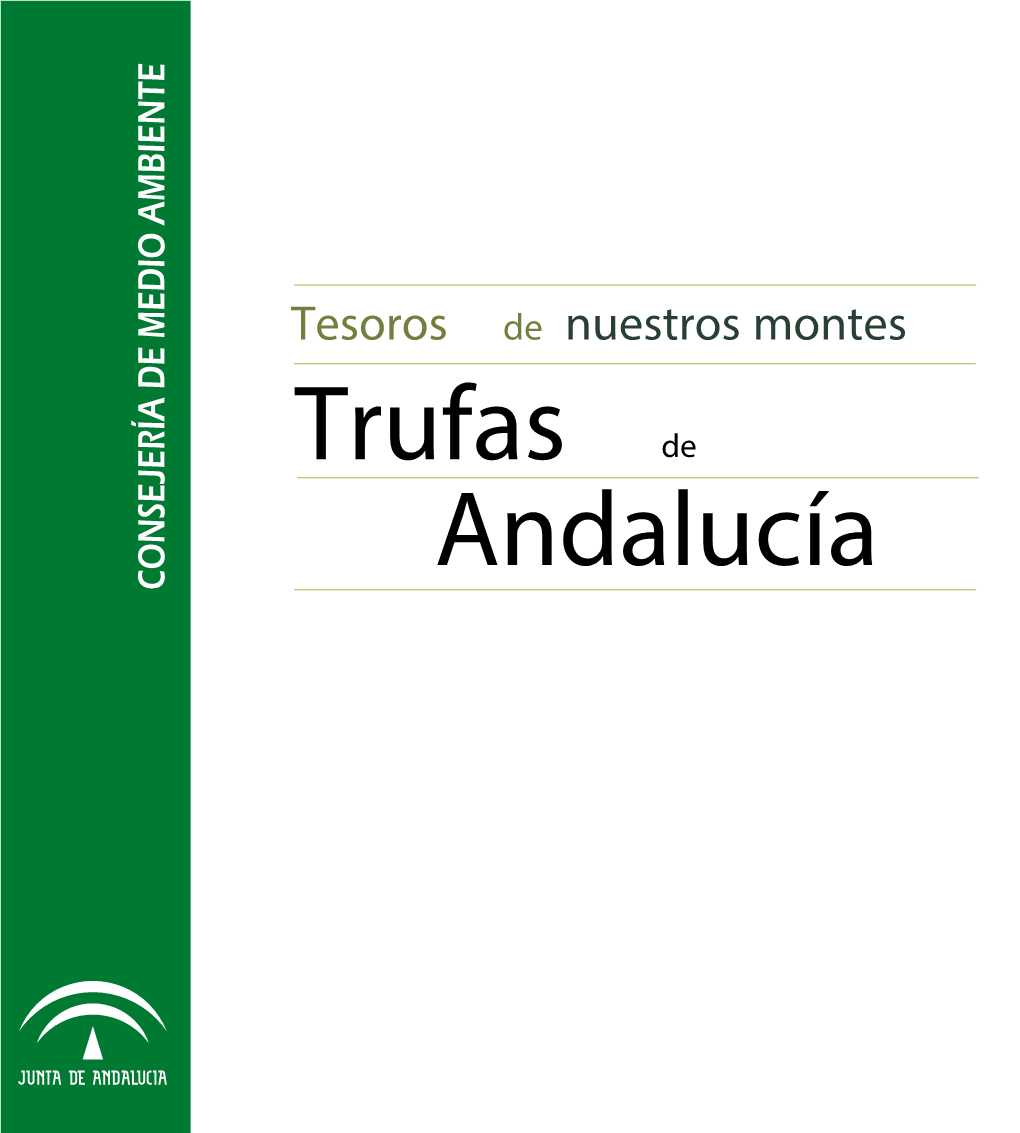 Tesoros De Nuestros Montes