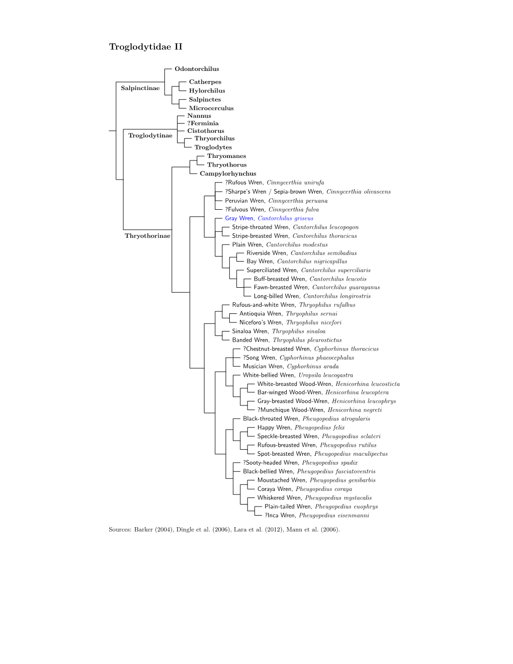 Troglodytidae Tree, Part 2