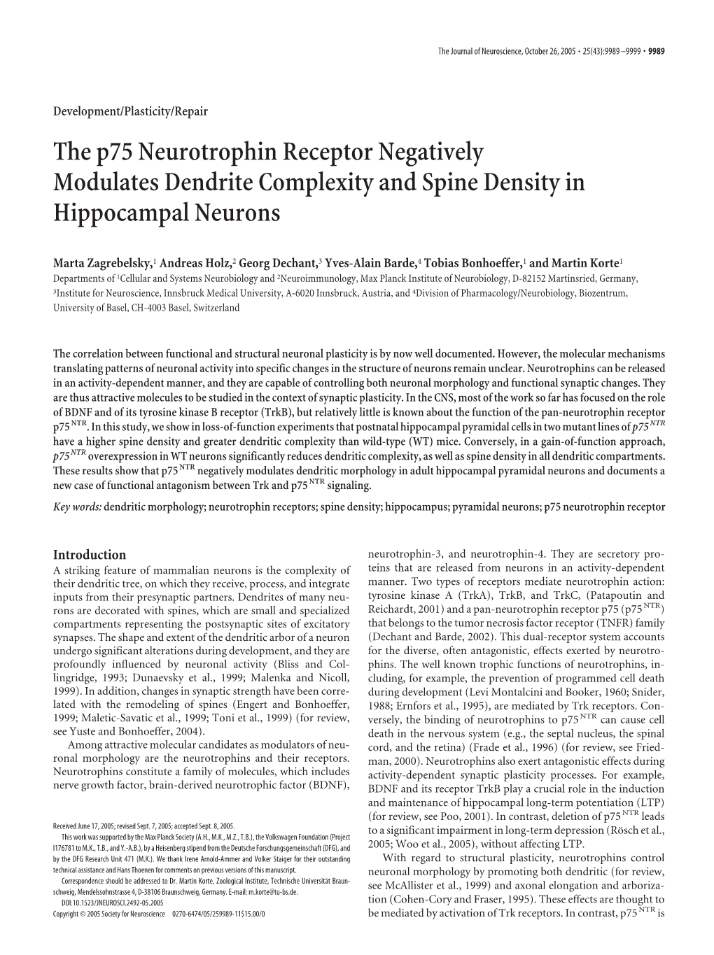 The P75 Neurotrophin Receptor Negatively Modulates Dendrite Complexity and Spine Density in Hippocampal Neurons