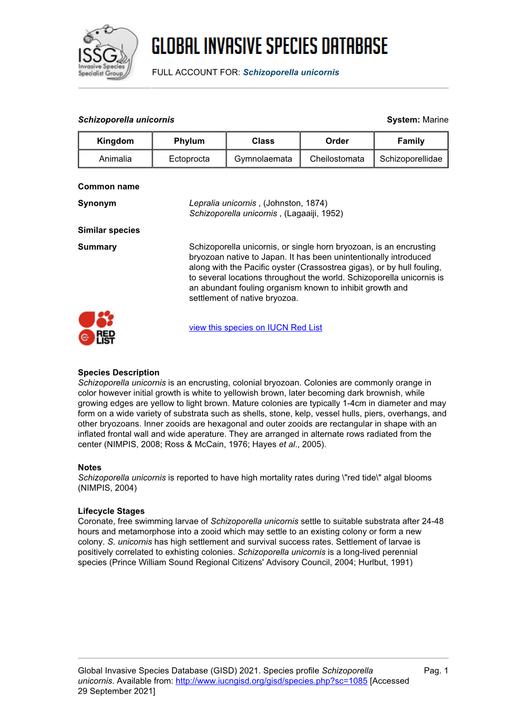 Schizoporella Unicornis Global Invasive Species Database (GISD)