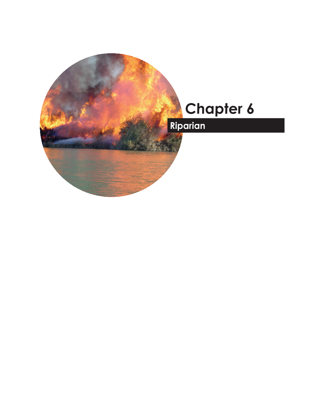 Chapter 6 Riparian Authors: Corrine Dolan and Alix Rogstad