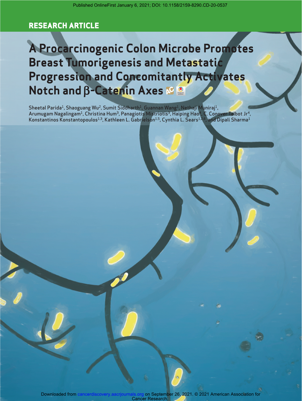 A Procarcinogenic Colon Microbe Promotes Breast Tumorigenesis and Metastatic Progression and Concomitantly Activates Notch and B-Catenin Axes