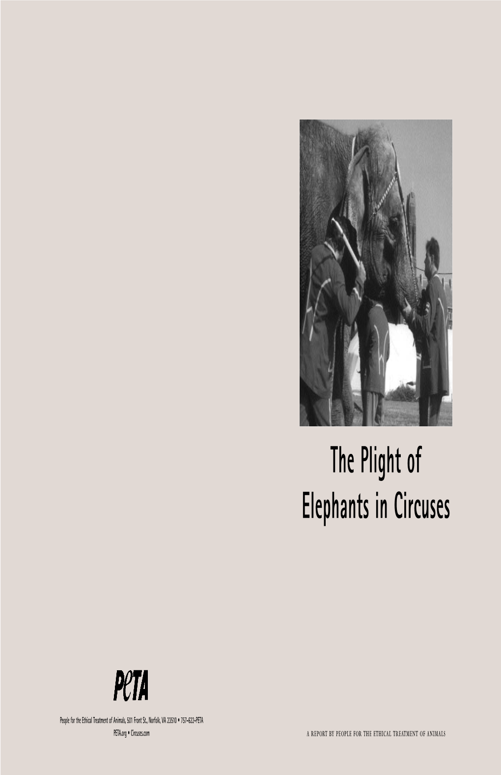 The Plight of Elephants in Circuses