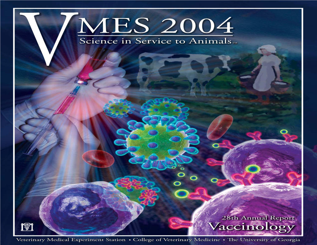 Vmes04.Pdf (2.603Mb)