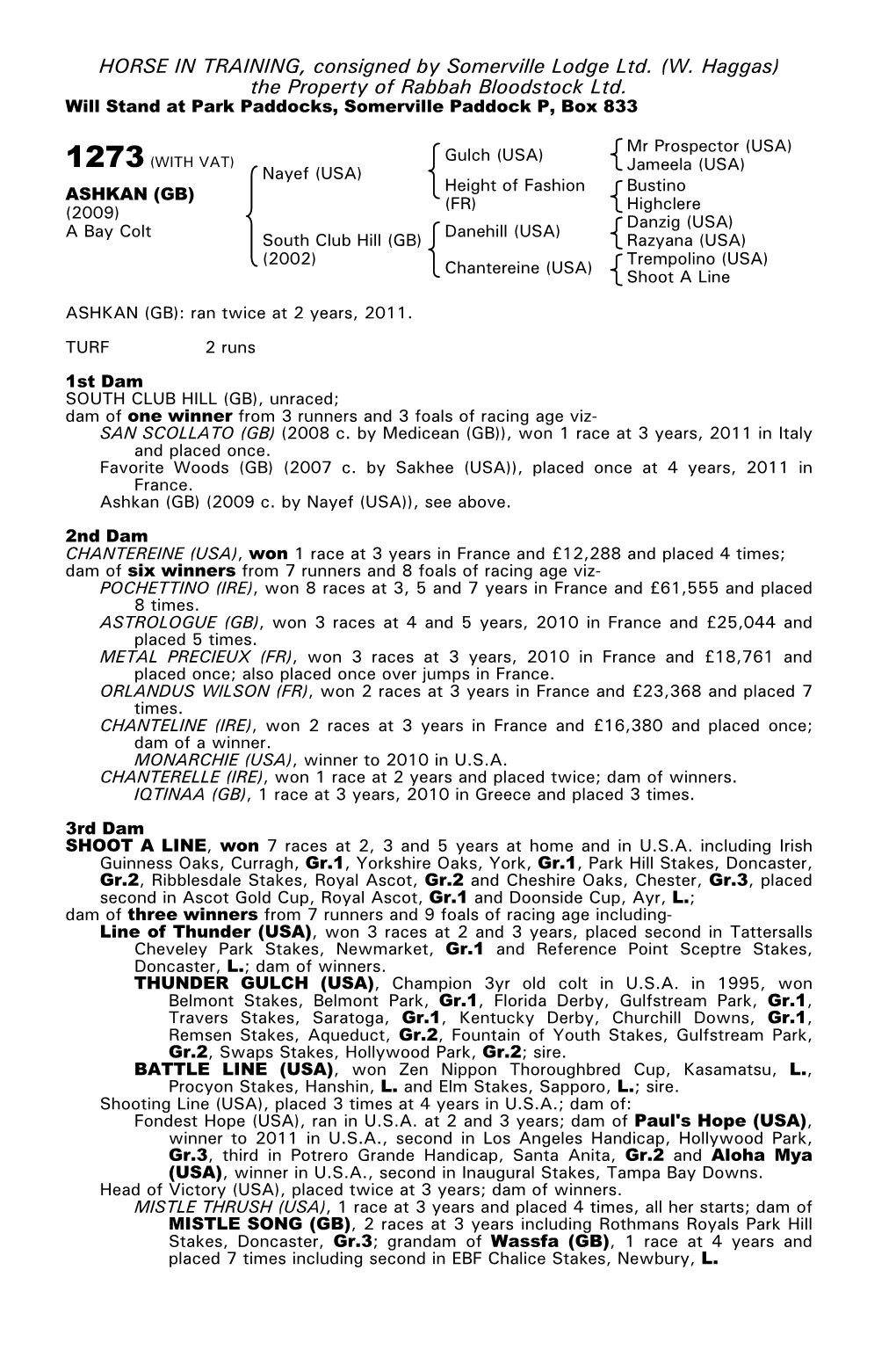 HORSE in TRAINING, Consigned by Somerville Lodge Ltd. (W. Haggas) the Property of Rabbah Bloodstock Ltd