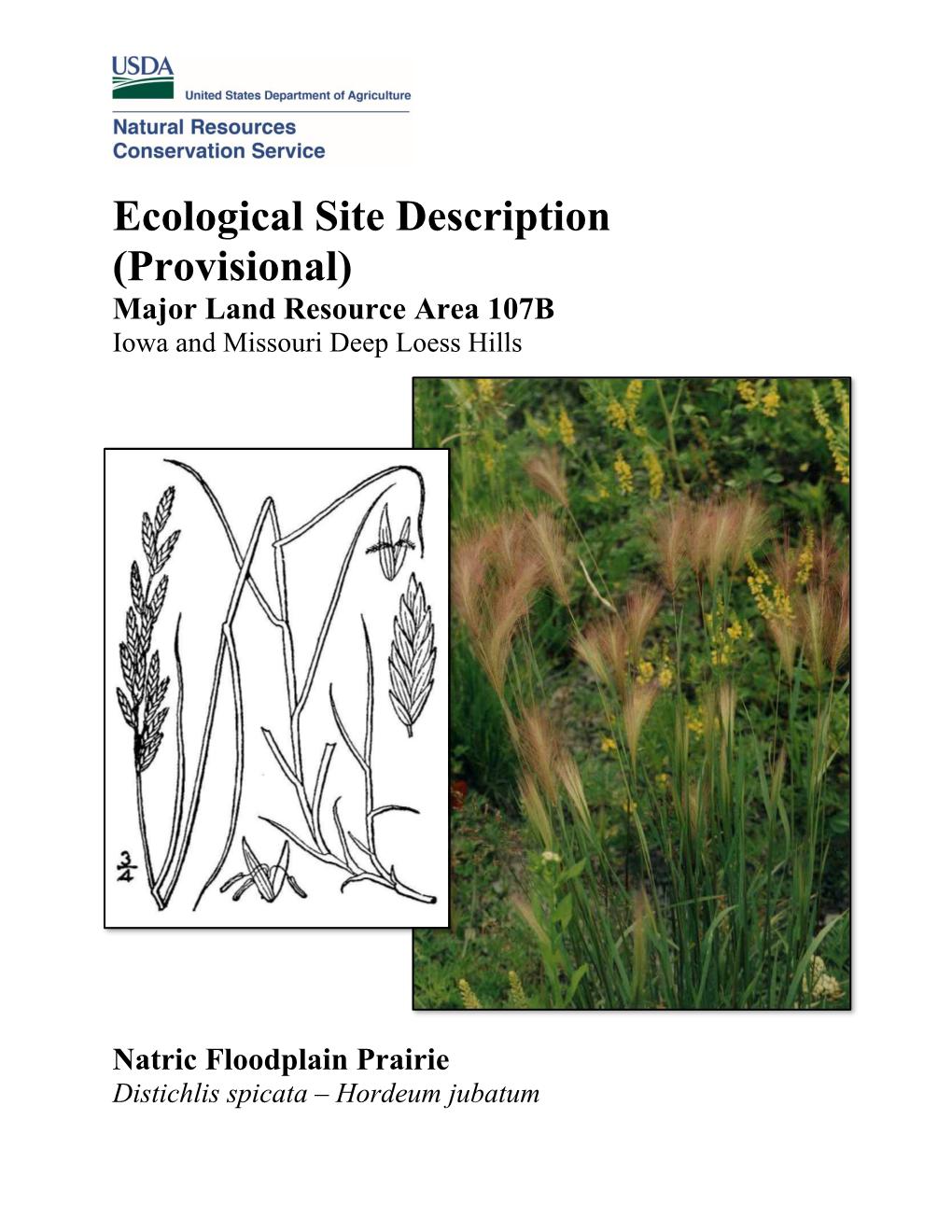 Ecological Site Description (Provisional) Major Land Resource Area 107B Iowa and Missouri Deep Loess Hills