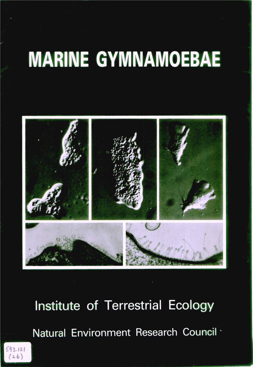 CULTURING MARINE AMOEBAE 6 Collection and Initial Handling 6 Conditions for Culturing Amoebae 6 Isolation and Maintenance 7 Media 7