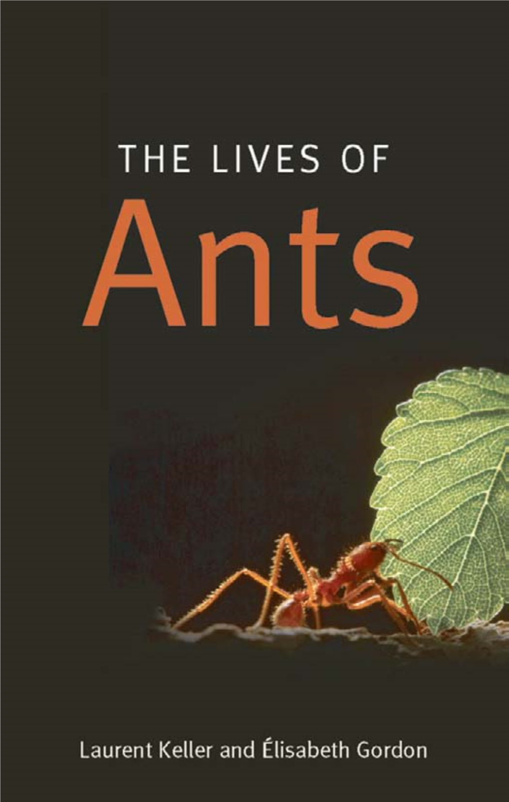 Thea Lives of ANTS