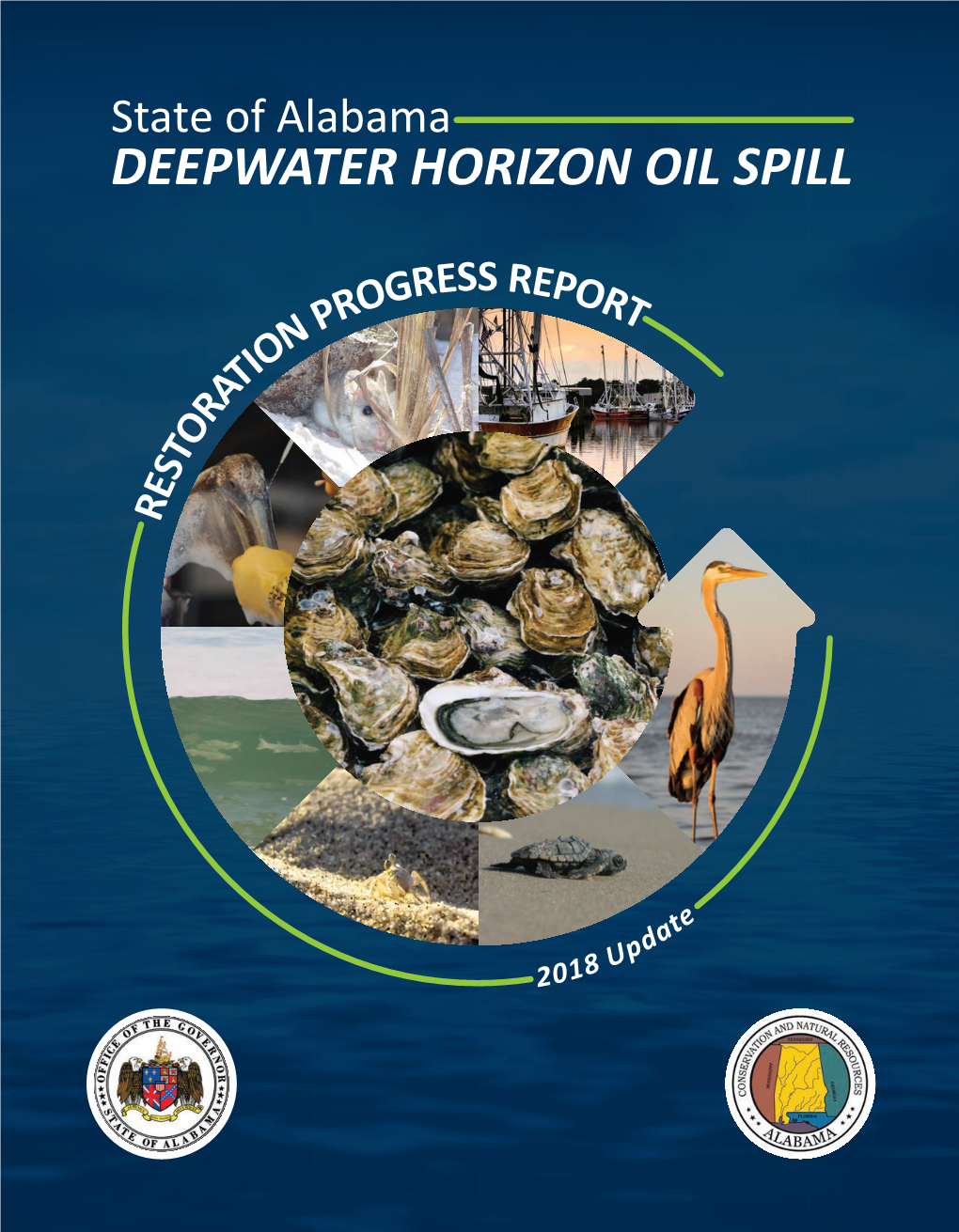 Deepwater Horizon Oil Spill